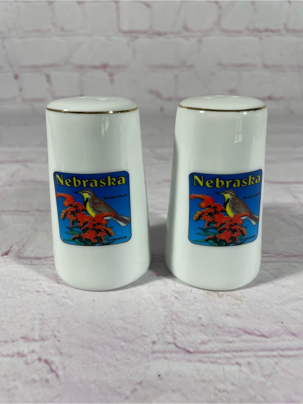 Vintage Nebraska Meadowlark Goldenrod Souvenir Salt and Pepper Shaker Pair